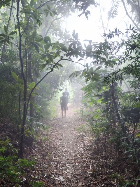 Bico Do Papagaio/Parrtos Beak: Fun Hike in Tijucas Forest - Booking Details