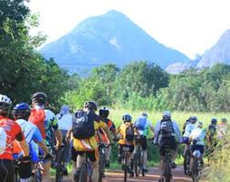 Bicycle Adventure:Ella to Demodara With Ninearch Bridge Tour - Experience Highlights