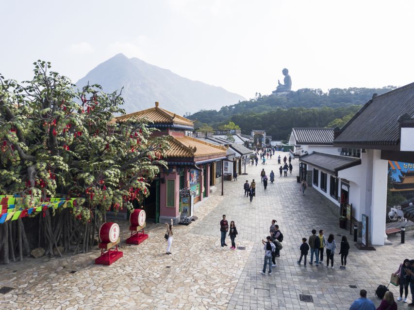 Big Buddha: Walk With Skip-The-Line NP360 Cable Car - Tour Experience