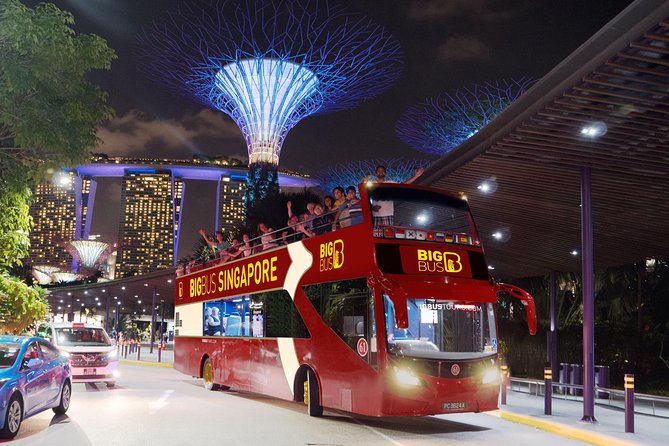 Big Bus Singapore Night Tour With Gardens by the Bay Light Show - Itinerary Details