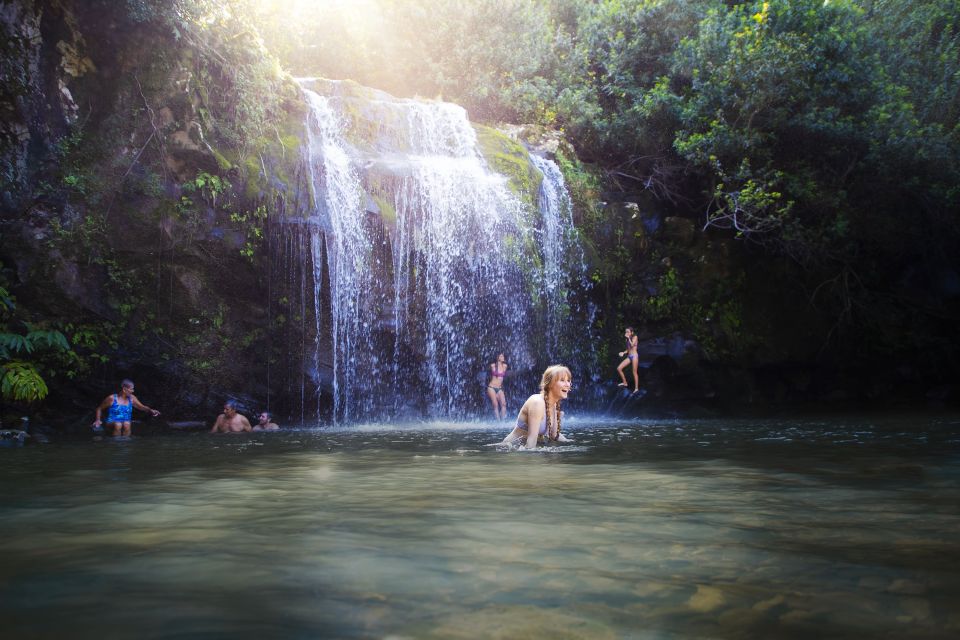 Big Island: Full Day Adventure Tour of the Kohala Waterfalls - Activity Details