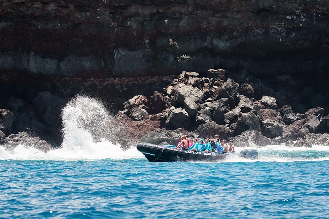 Big Island, Hawaii: Zodiac Snorkel Tour to Kealakekua Bay (Mar ) - Booking Requirements