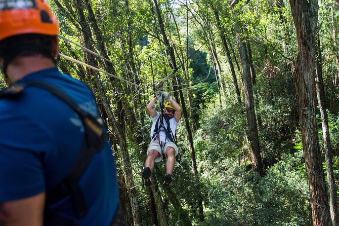 Big Island Kohala Canopy Zipline Adventure - Adventure Highlights