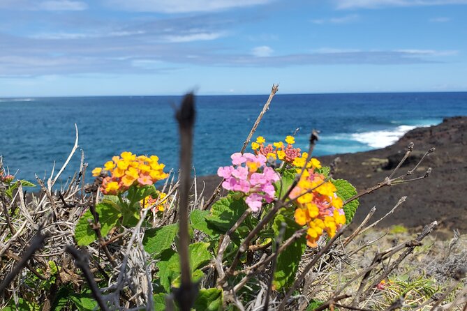 Big Island Southside ATV Tours - Tour Duration and Language