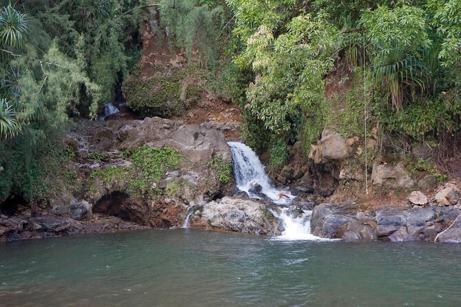 Big Island Zipline Over KoleKole Falls - Scenic Zipline Course