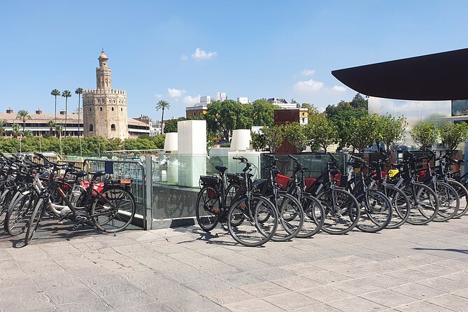 Bike Rental per Day in Seville - Bike Selection and Features