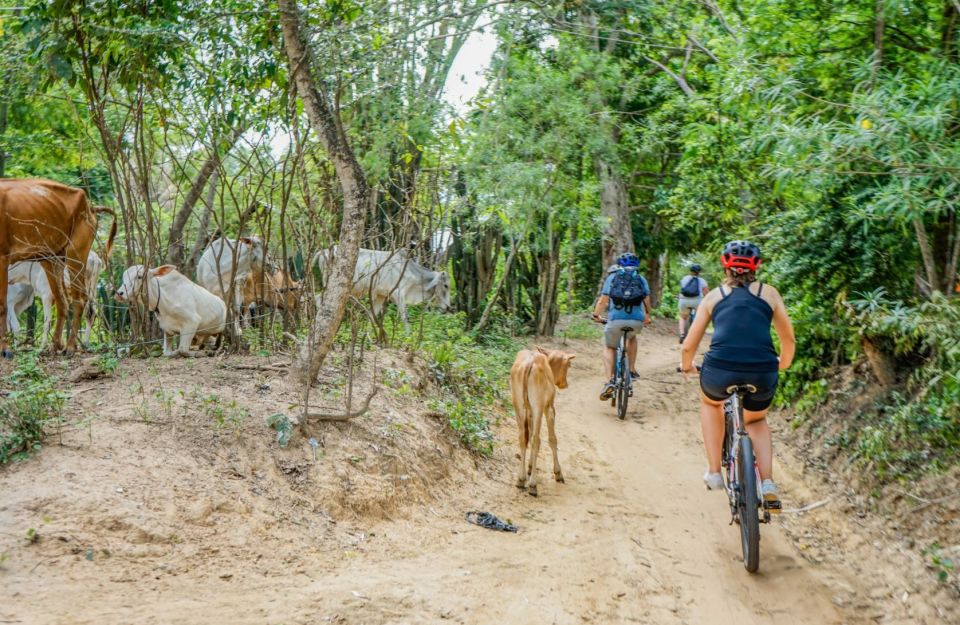 Bike Through Siem Reap Countryside With Local Guide - Tour Information