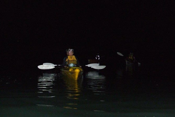 Bioluminescence Kayak Tour - Est. 1994 - Inclusions and Logistics