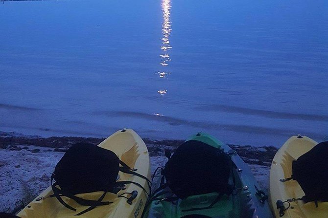 Bioluminescence Night Kayaking Tour of Merritt Island Wildlife Refuge - Equipment and Safety