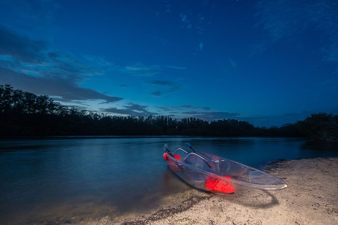 Bioluminescent Clear Kayak Tours in Titusville - Customer Experience