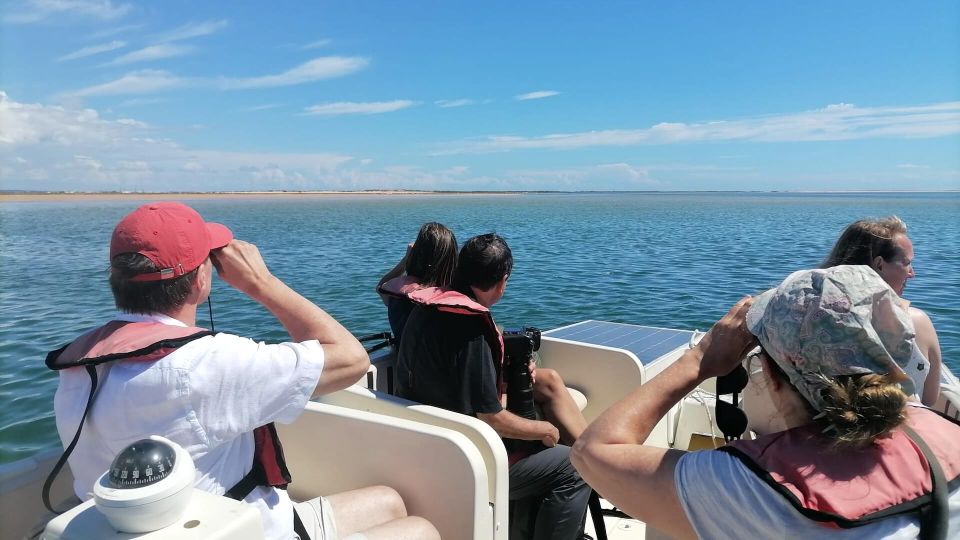 Birdwatching in Ria Formosa: Eco Boat Tour From Faro - Experience Highlights