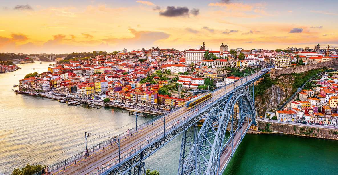 Birthplace of Portugal - Porto Private Tour From Lisbon - Tour Highlights