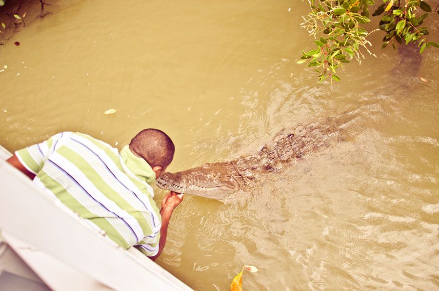 Black River Safari Tour From Montego Bay - Experience Highlights