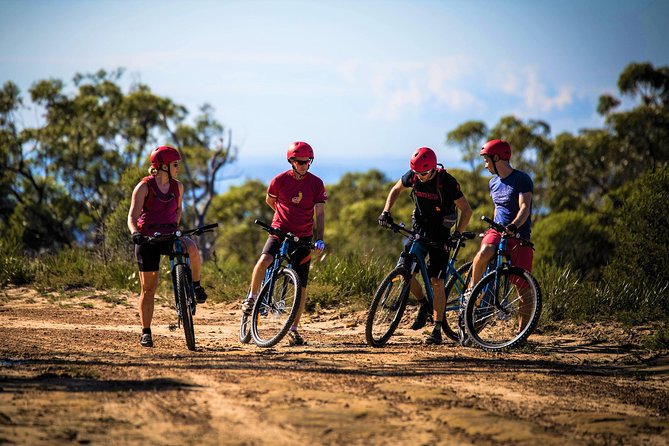 Blue Labyrinth PRIVATE Tour: Sydney Blue Mountains by E-Bike - Glenbrook Gateway