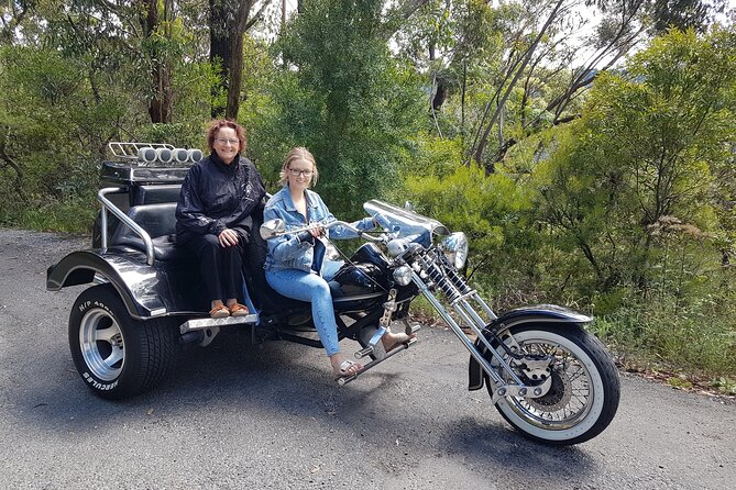 Blue Mountains 1-Hour Trike Tour of Three Sisters - Tour Highlights and Details
