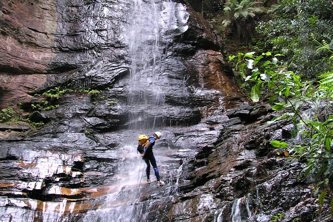Blue Mountains and Empress Canyon Abseiling Adventure Tour (Mar ) - Equipment and Gear Provided
