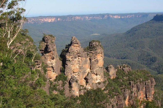 Blue Mountains Carbon Neutral Day Trip From Sydney With Lunch - Indigenous Wildlife Encounters