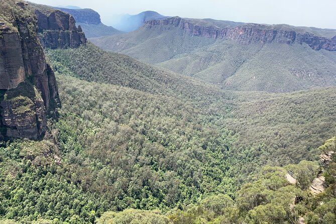 Blue Mountains Private Tour From Sydney, & Featherdale Aussie Animal Park Option - Customer Satisfaction and Reviews