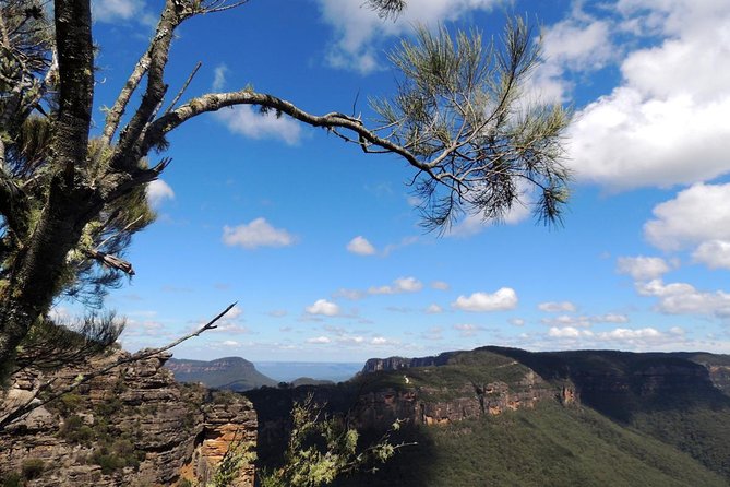 Blue Mountains Small-Group Insider Tour From Sydney - Cancellation Policy Information