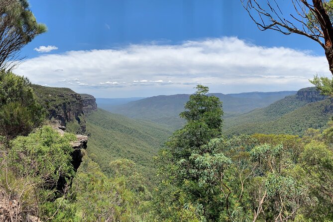 Blue Mountains Small Group Tour - Customer Reviews and Ratings