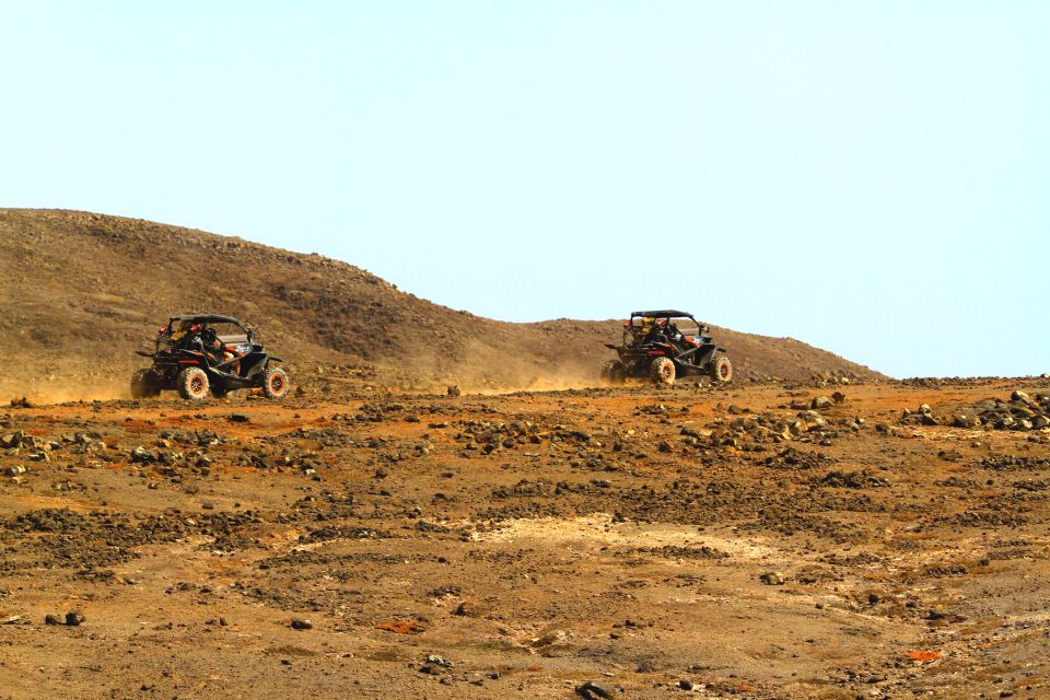 Boa Vista: Buggy North Island Adventure 2h - Experience Highlights