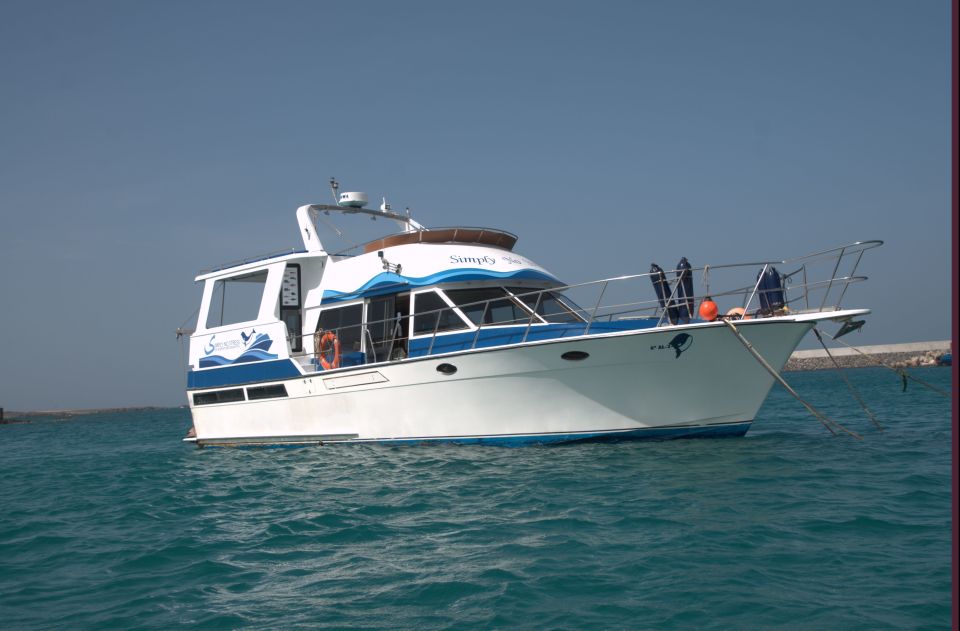 Boa Vista: Full-Day Whale Watching Tour - Whale Watching Experience