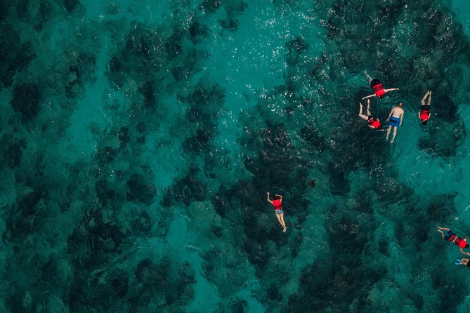 Boat and Snorkeling in West End (Blue Channel, The Aquarium, Turtle Crossing) - Timing and Logistics