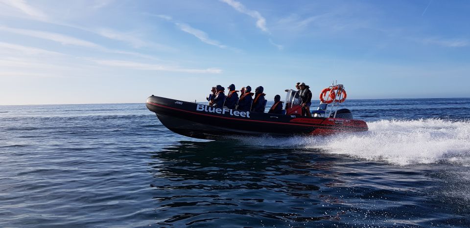 Boat Cruise to Algar De Benagil From Lagos - Experience Highlights