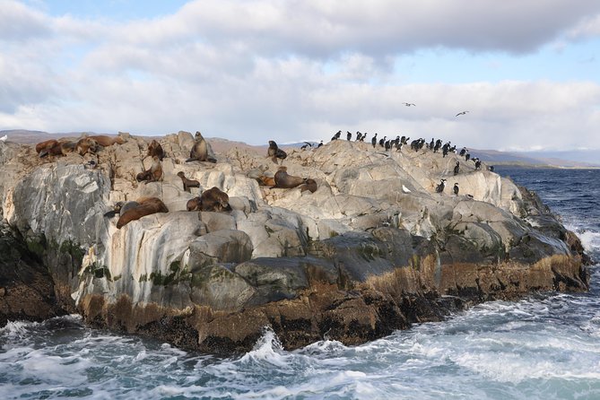 Boat Trip to the Penguin Colony on Martillo Island - Meeting and Pickup