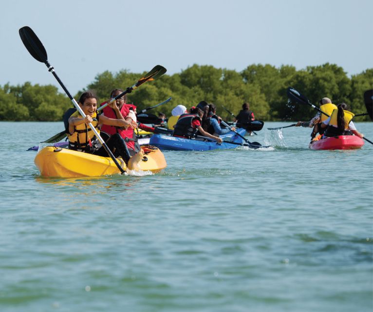 Boca Chica : Los Haitises Guided Hike and Kayaking - Just The Basics
