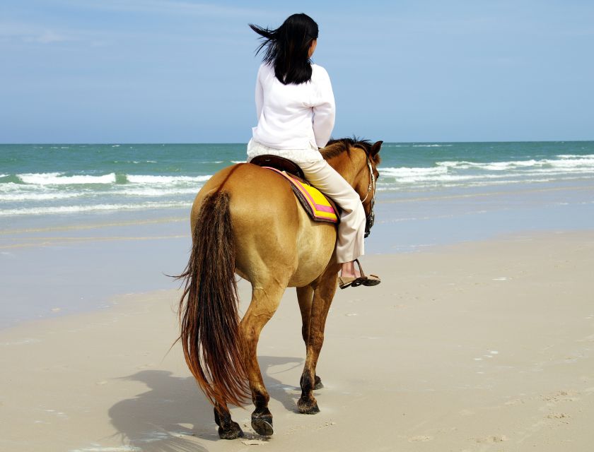 Bodrum: Horseback Riding Experience - Experience Highlights