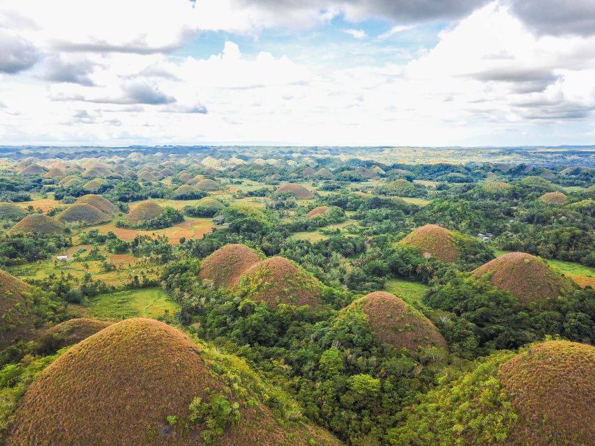 Bohol: Chocolate Hills and Countryside Tour - Tour Experience
