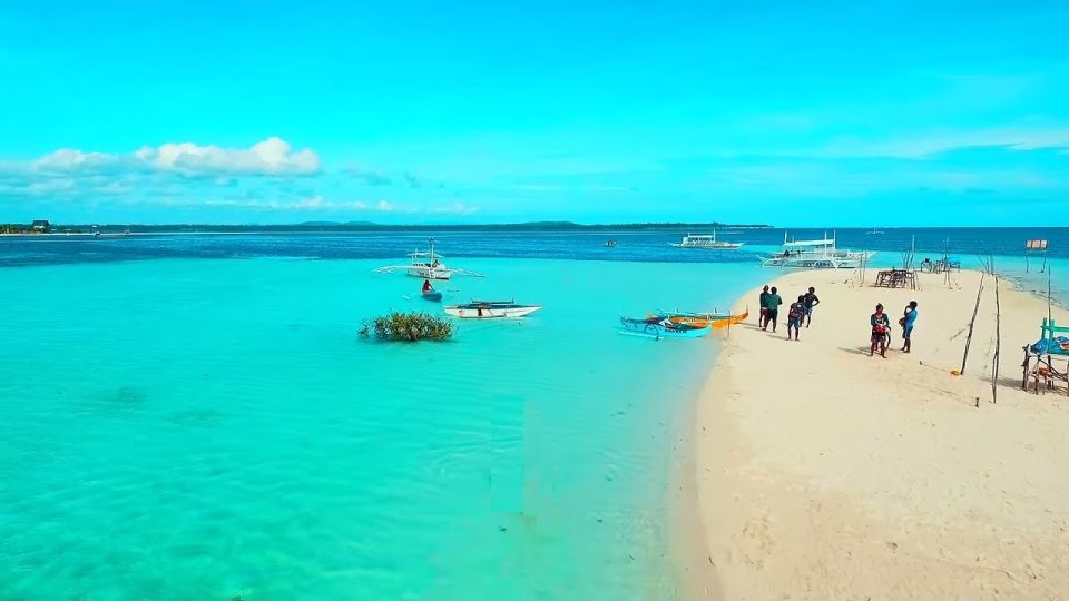 Bohol: Dolphin and Sea Turtle Watching Island Hopping Tour - Experience Highlights