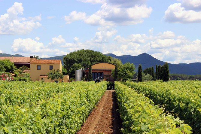 Bolgheri: Classic Wine Tasting With Winery Tour - Inclusions