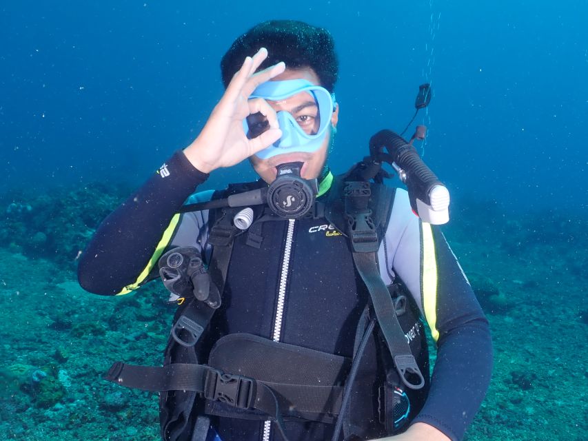 Boracay: Introduction to Scuba Diving Experience - Experience Highlights Underwater