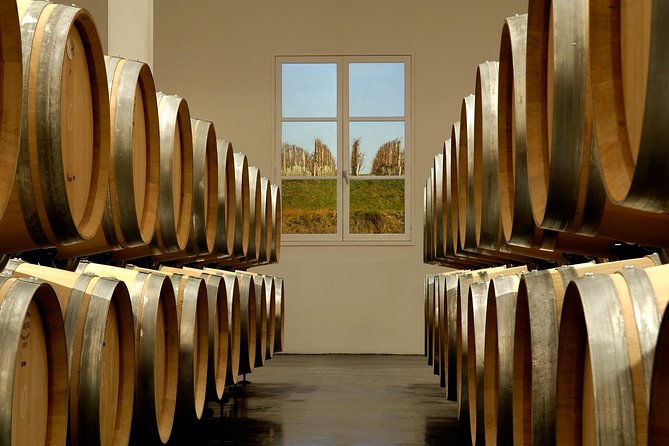 Bordeaux Private Half Day Wine Tour - St Emilion, Medoc or Graves - Customer Reviews