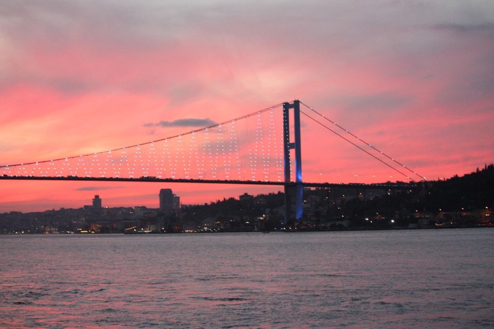 Bosphorus Cruise From Istanbul Airport - Inclusions