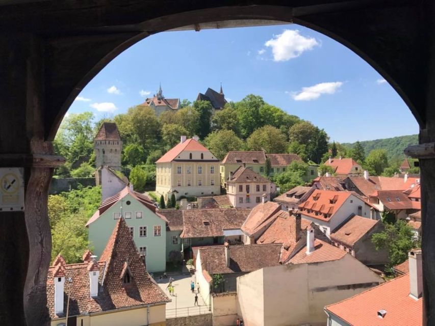 Brasov: Private Guided Day Trip to Sighisoara and Viscri - Experience Highlights