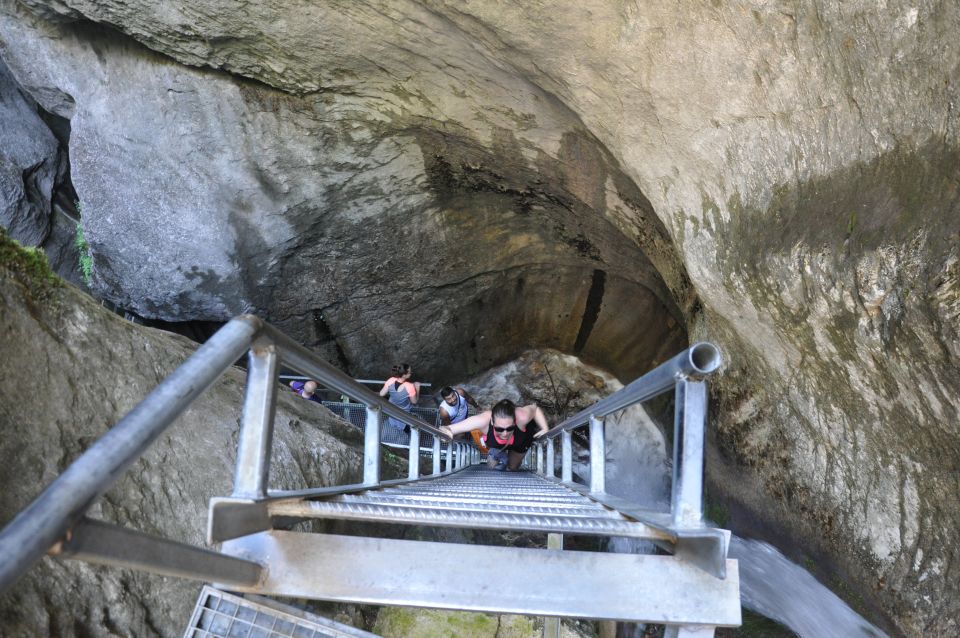 Brasov: Small-Group 7 Ladders Canyon Day Trip - Experience Highlights