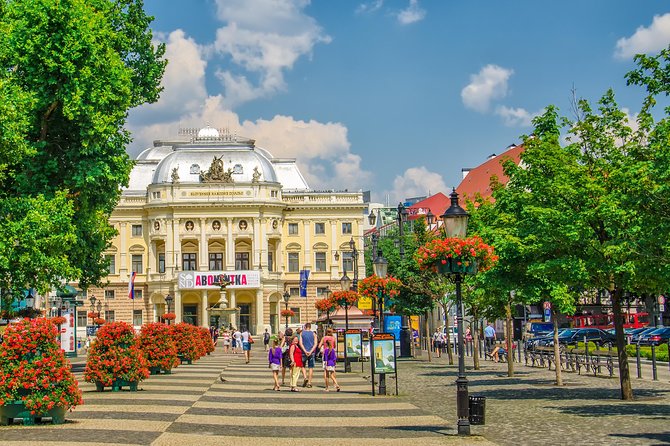 Bratislava From Vienna By Bus With Lunch - Customer Feedback Insights