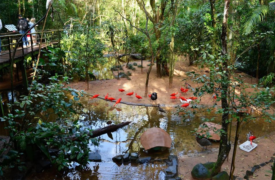 Brazilian Falls, Bird Park and Itaipu Dam - Spectacular Waterfalls of Brazilian Falls