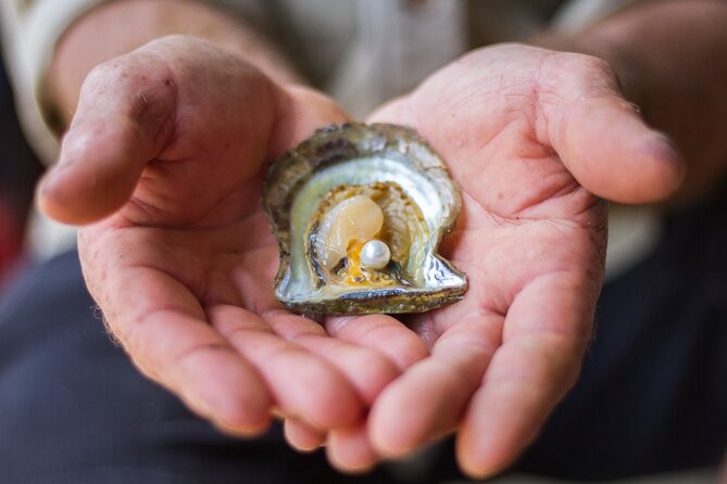 Broken Bay Pearl & Oyster Farm Tours - Inclusions