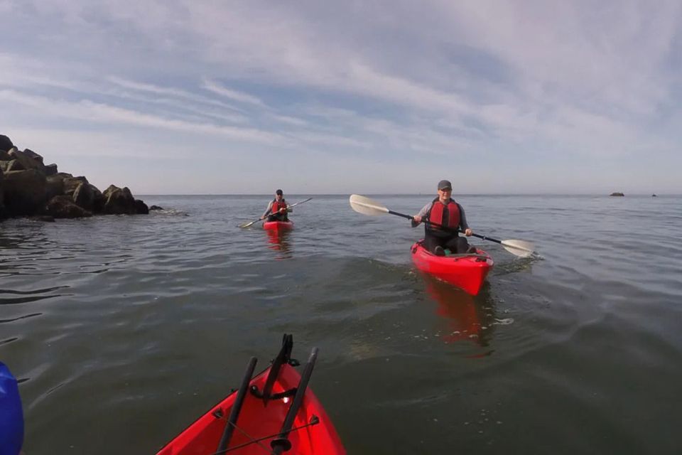 Brookings: Pacific Ocean Kayak Tour - Experience Highlights