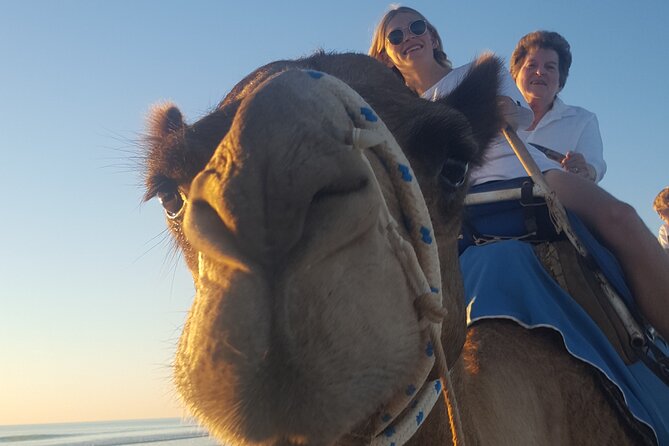 Broome Pre-Sunset Camel Tour 30 Minutes - Historical Insights