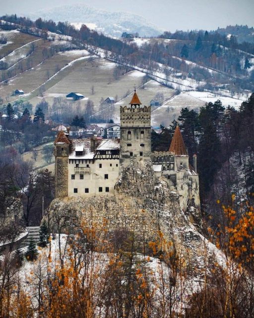 Brown Bear Sanctuary, Bran Castle & Rasnov Fortress Day Tour - Tour Highlights and Price Details