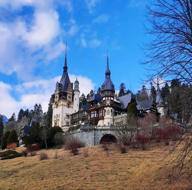 Bucharest: Bran Castle, Peles Castle and Brasov Day Tour - Cancellation Policy Details
