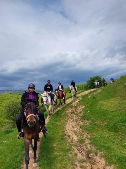 Bucharest: Horseback In the Nature and Traditional Lunch - Horseback Riding Details