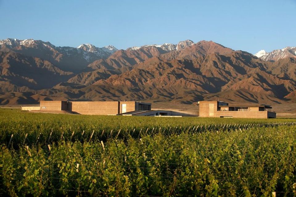 Buenos Aires: Mendoza Winery Day Trip With Lunch and Flights - Experience Highlights