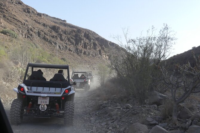 Buggy Tour in Gran Canaria (Mar ) - Participant Requirements