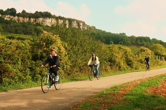 Burgundy Bike Tour With Wine Tasting From Beaune - Customer Reviews